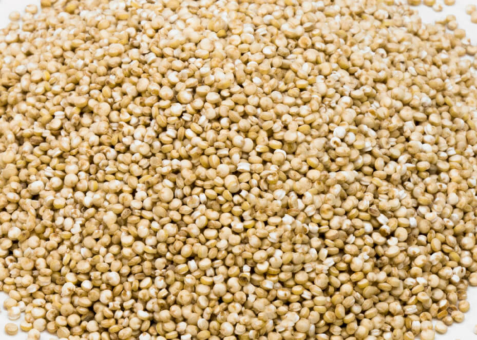 Producers and Distributors of Quinoa in Spain - Algosur