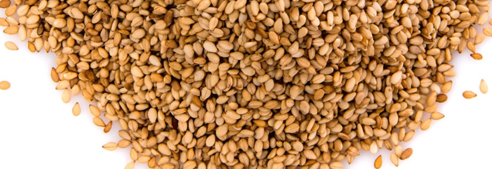 Sésamo - Algosur